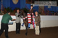08r12_2710 thumbnail