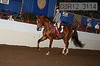 08r12_3114 thumbnail