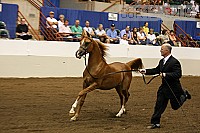 08r12_3209 thumbnail