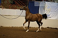 08r12_3210 thumbnail