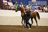 08r12_3212 thumbnail