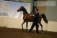 08r12_3213 thumbnail