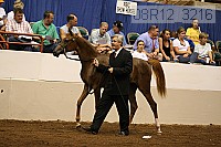 08r12_3216 thumbnail