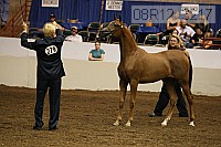 08r12_3217 thumbnail