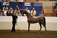 08r12_3222 thumbnail
