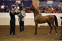 08r12_3223 thumbnail