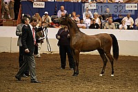 08r12_3224 thumbnail