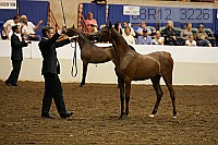 08r12_3226 thumbnail