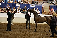 08r12_3228 thumbnail