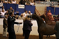 08r12_3229 thumbnail