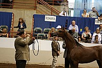08r12_3231 thumbnail