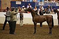 08r12_3232 thumbnail