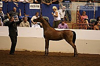 08r12_3233 thumbnail