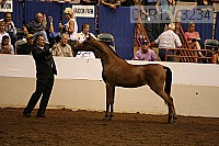 08r12_3234 thumbnail