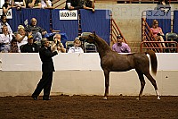 08r12_3237 thumbnail