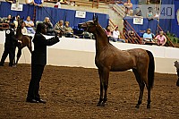 08r12_3240 thumbnail