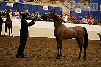 08r12_3241 thumbnail