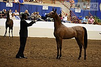 08r12_3242 thumbnail