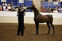08r12_3247 thumbnail