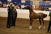 08r12_3251 thumbnail