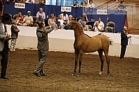 08r12_3254 thumbnail