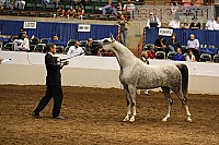 08r12_3501 thumbnail