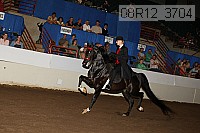 08r12_3704 thumbnail