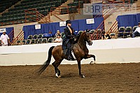 08r12_3843 thumbnail