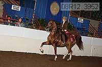 08r12_3952 thumbnail
