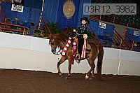08r12_3982 thumbnail