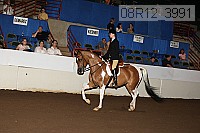 08r12_3991 thumbnail