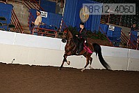 08r12_4060 thumbnail