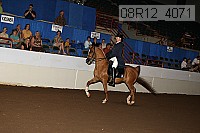 08r12_4071 thumbnail