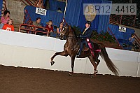 08r12_4418 thumbnail