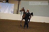 08r12_4592 thumbnail