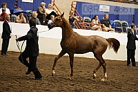 08r12_4661 thumbnail