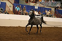 08r12_4990 thumbnail