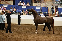 08r12_5007 thumbnail