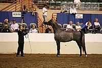 08r12_5022 thumbnail