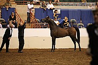 08r12_5041 thumbnail