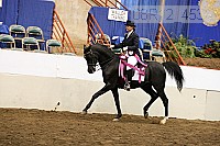 08r12_4535 thumbnail