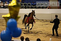 08r12_2471 thumbnail