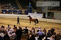 08r12_2472 thumbnail