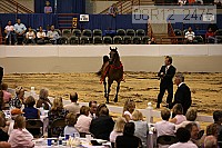 08r12_2475 thumbnail