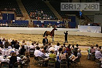 08r12_2480 thumbnail