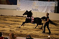 08r12_2482 thumbnail