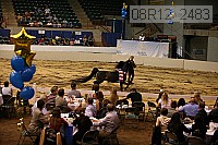 08r12_2483 thumbnail