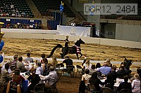 08r12_2484 thumbnail