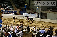 08r12_2485 thumbnail