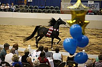 08r12_2487 thumbnail